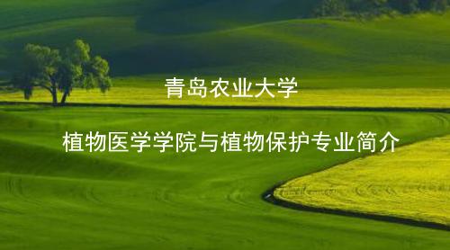 伟德victor1946网站植物保护专业介绍